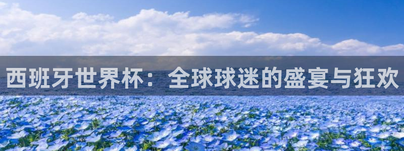预选赛世界杯:西班牙世界杯:全球球迷的盛宴与狂欢