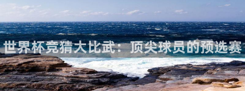 世界杯:世界杯竞猜大比武:顶尖球员的预选赛