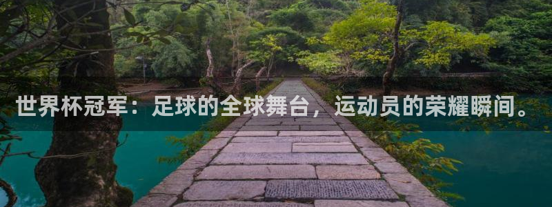 足球比分直播世界杯:世界杯冠军:足球的全球舞台,运动员的荣耀瞬间。