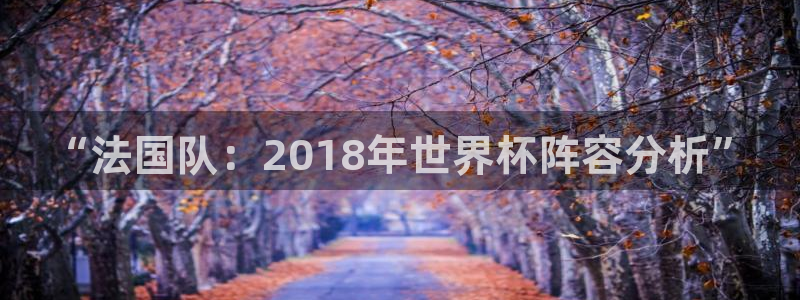2026葡萄牙杯赛程表:“法国队:2018年世界杯阵容分析”