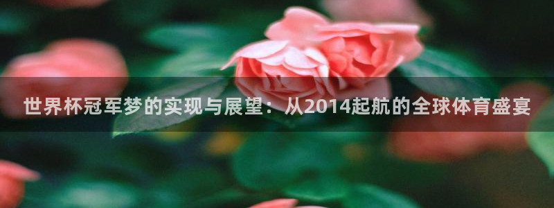 世界杯足球赛2026赛程时间:世界杯冠军梦的实现与展望:从2014起航的全球体育盛宴