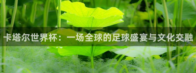 2026世界杯赛制:卡塔尔世界杯:一场全球的足球盛宴与文化交融