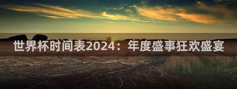 2026年世界杯直播平台:世界杯时间表2024:年度盛事狂欢盛宴